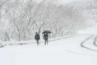 R7_2_4_雪 (3)