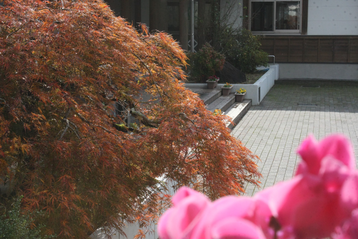 R7_11_25_秋の風景 (3)