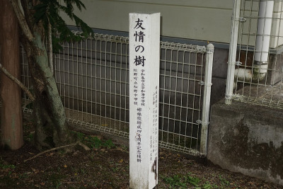 DSC08133