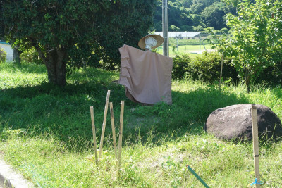 DSC08668
