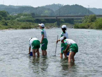 水質調査 (3)