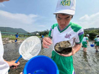 水質調査 (6)