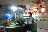 DSC06733