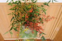 R7_11_25_秋の風景 (2)