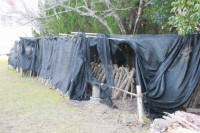 R8_1_15_しいたけ植菌打ち合わせ (1)