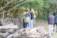 R8_1_15_しいたけ植菌打ち合わせ (7)