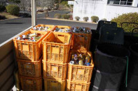 R8_2_13_回収したアルミ缶