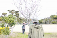 R8_3_6_樹木医の視察 (1)