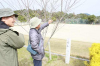 R8_3_6_樹木医の視察 (3)