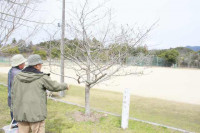 R8_3_6_樹木医の視察 (5)