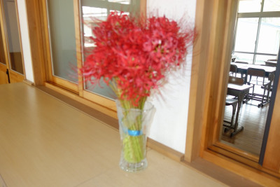 DSC09060