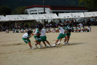 DSC08329