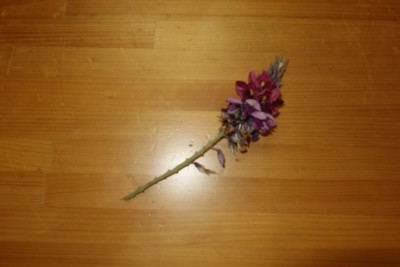 DSC09266